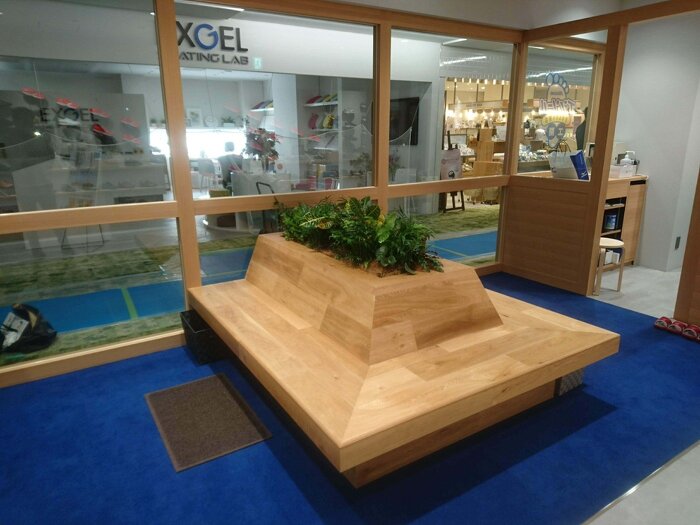 大阪市内 インドアグリーン装飾 スタイリッシュなインテリアグリーン1