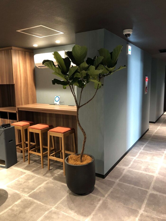 大阪市内オフィス フェイクグリーン2