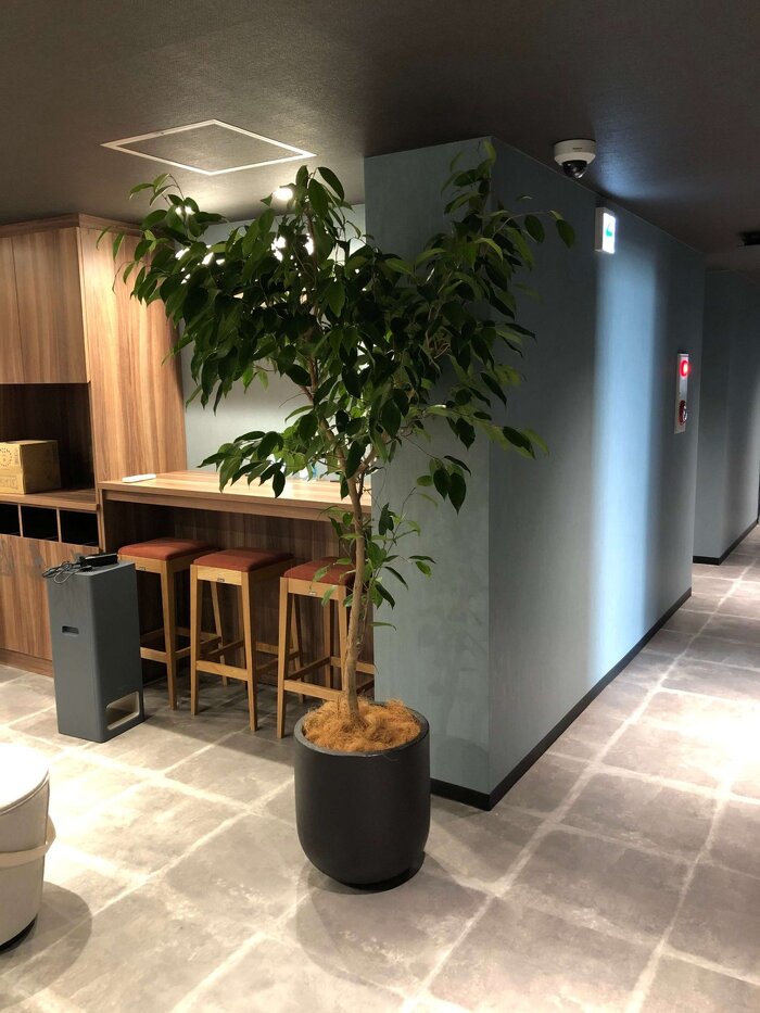 大阪市内オフィス フェイクグリーン3