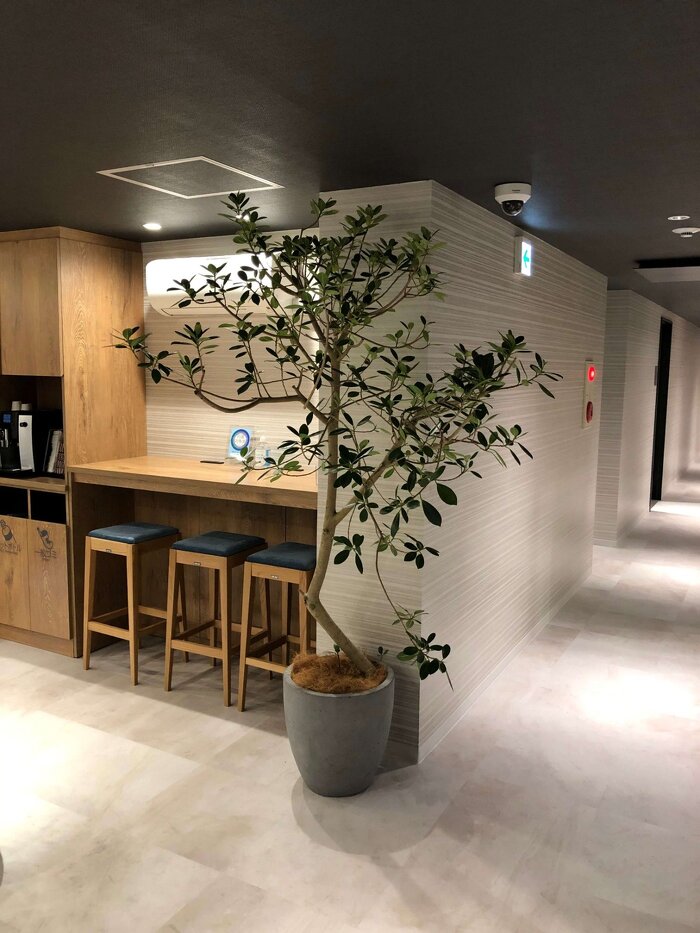 大阪市内オフィス フェイクグリーン5