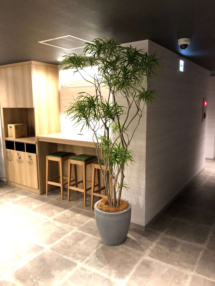 大阪市内オフィス フェイクグリーン7