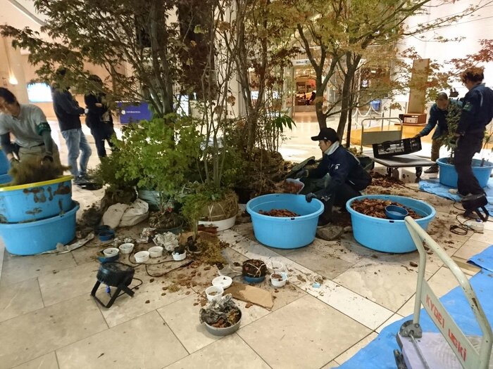 大阪市内 ホテルエントランス季節装飾 秋装飾施工中