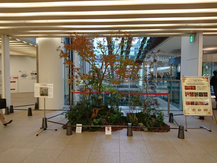 大阪市内 ホテルエントランス季節装飾 紅葉の秋装飾1