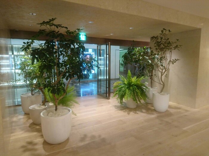 大阪市内 レンタルグリーン1