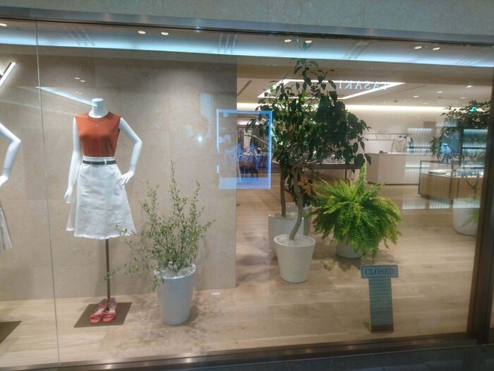 大阪市内 レンタルグリーン2