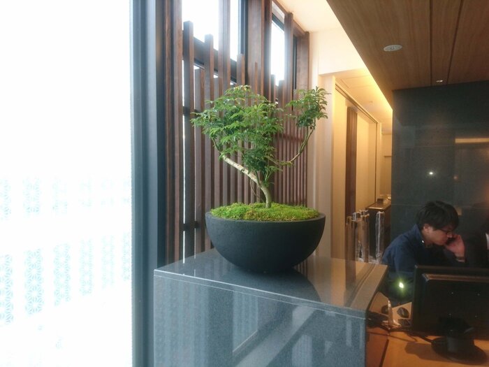 大阪市内 レンタルグリーン1