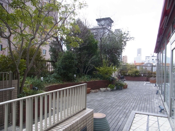 大阪市内 屋外植栽管理 テラスリニューアル前