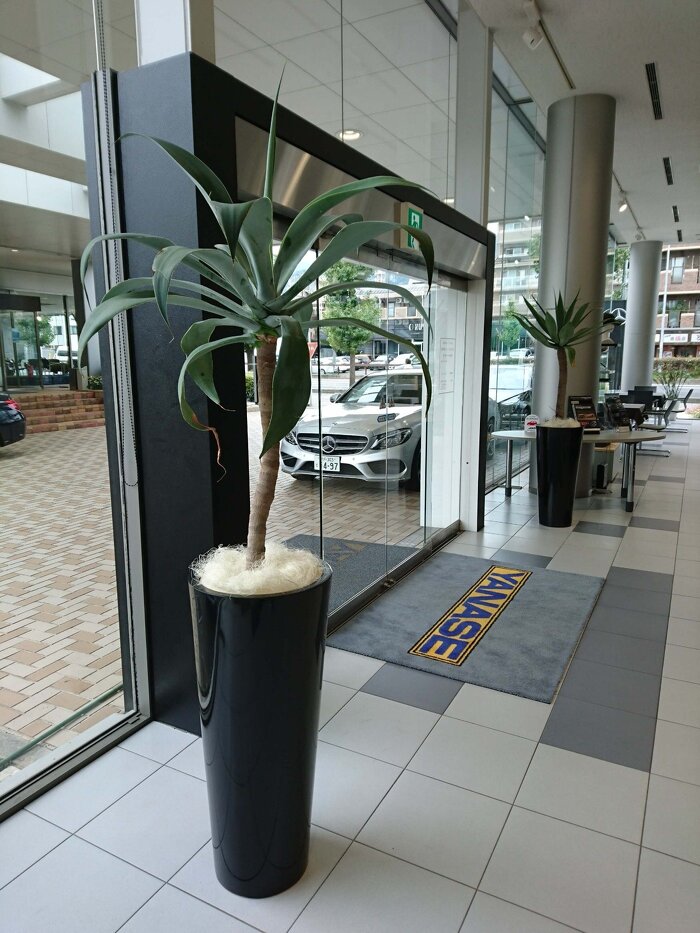 神戸市内 レンタルグリーン1