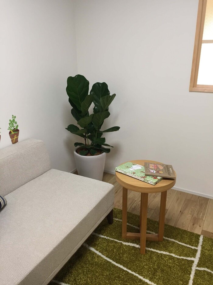 短期レンタルグリーン1