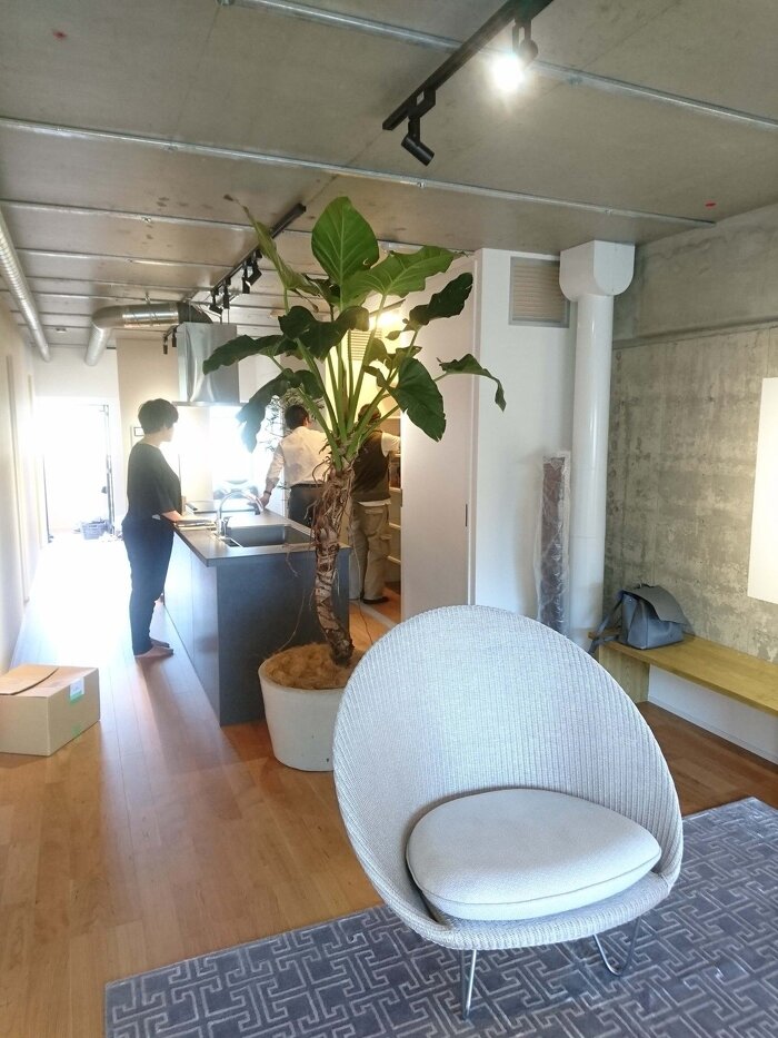 短期レンタルグリーン3