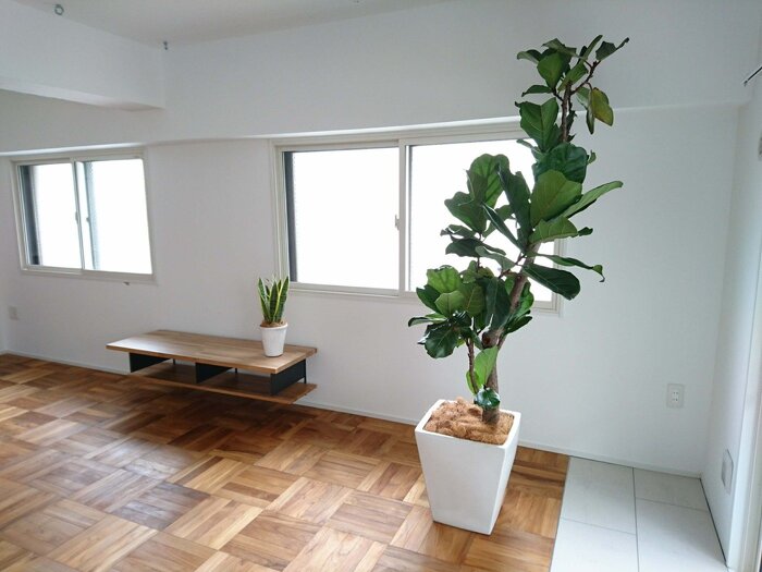 短期レンタルグリーン6