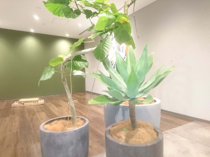 大阪市内オフィス4