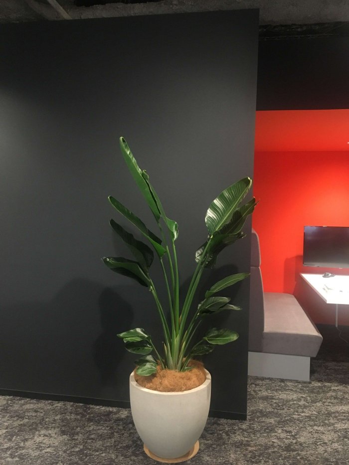 大阪市内オフィス中鉢1