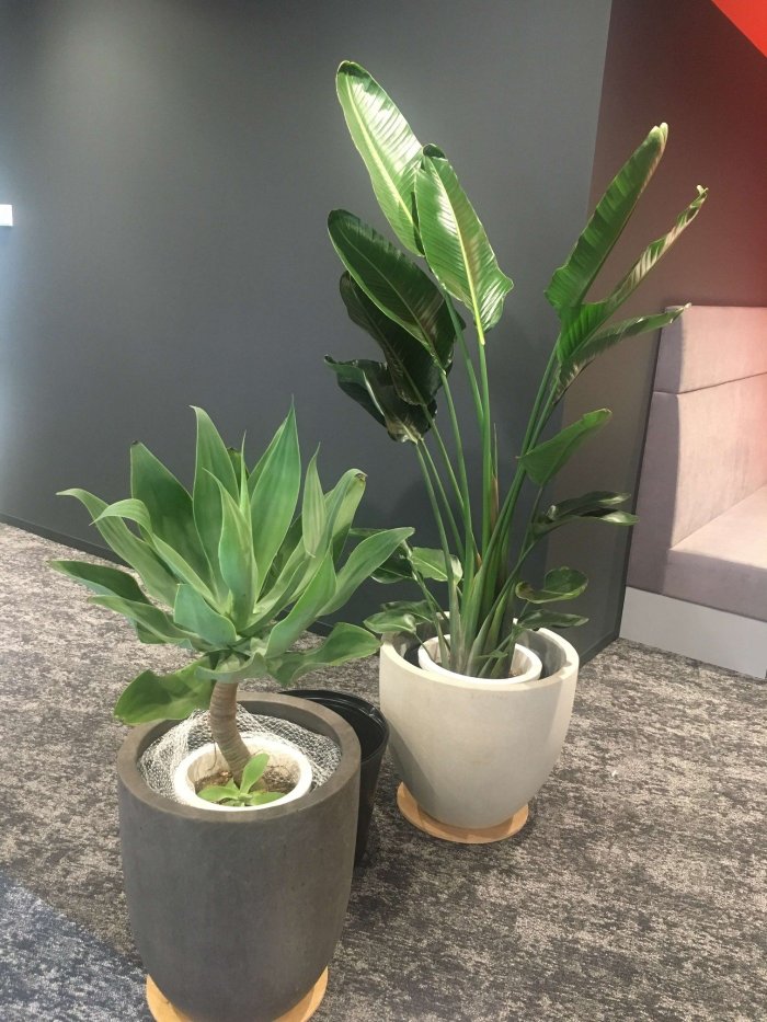 大阪市内オフィス中鉢2