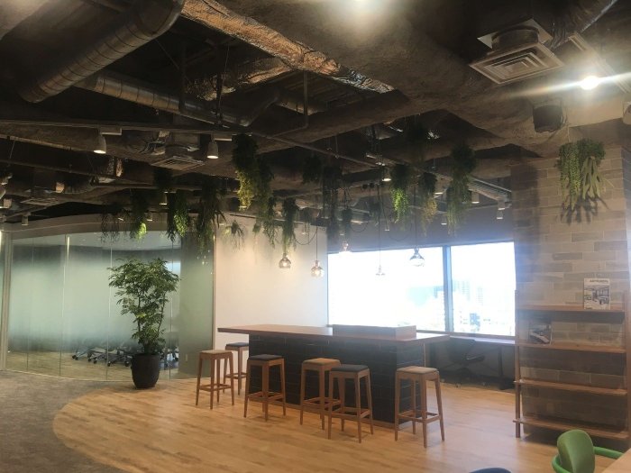 大阪市内オフィス スタイリッシュなオフィスグリーン1