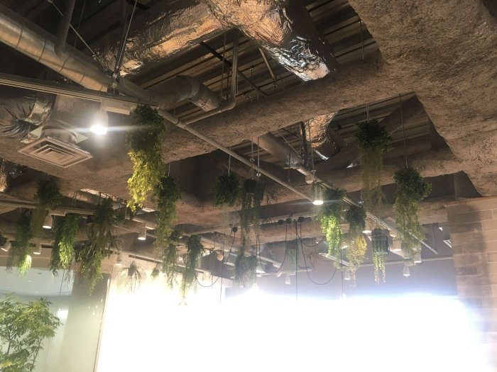 大阪市内オフィス スタイリッシュなオフィスグリーン2