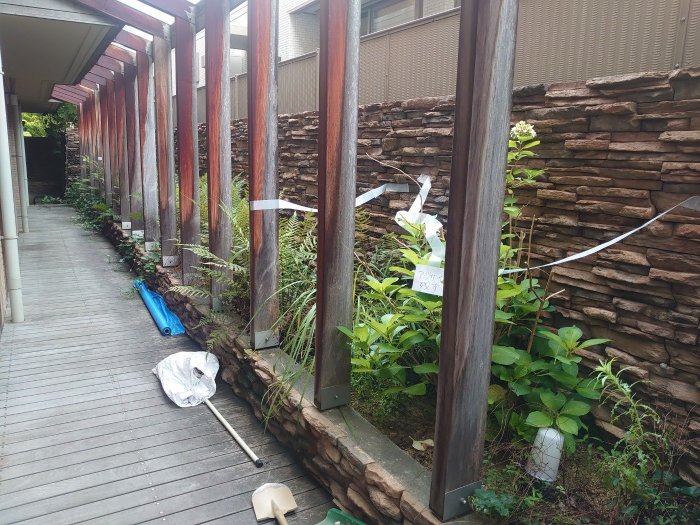 豊中市内レジデンス植栽改修 改修前2