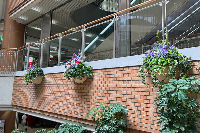 宝塚市商業施設造花装飾