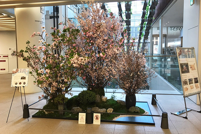大阪市内ホテルエントランス桜装飾