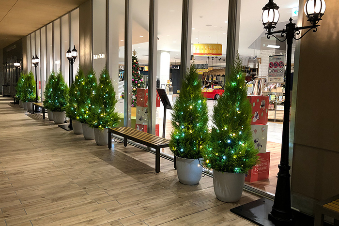 京都市内商業施設 クリスマスLED装飾