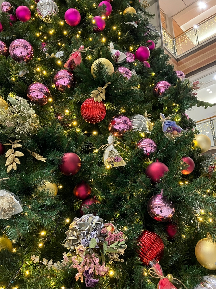 京都府内　商業施設　クリスマス装飾